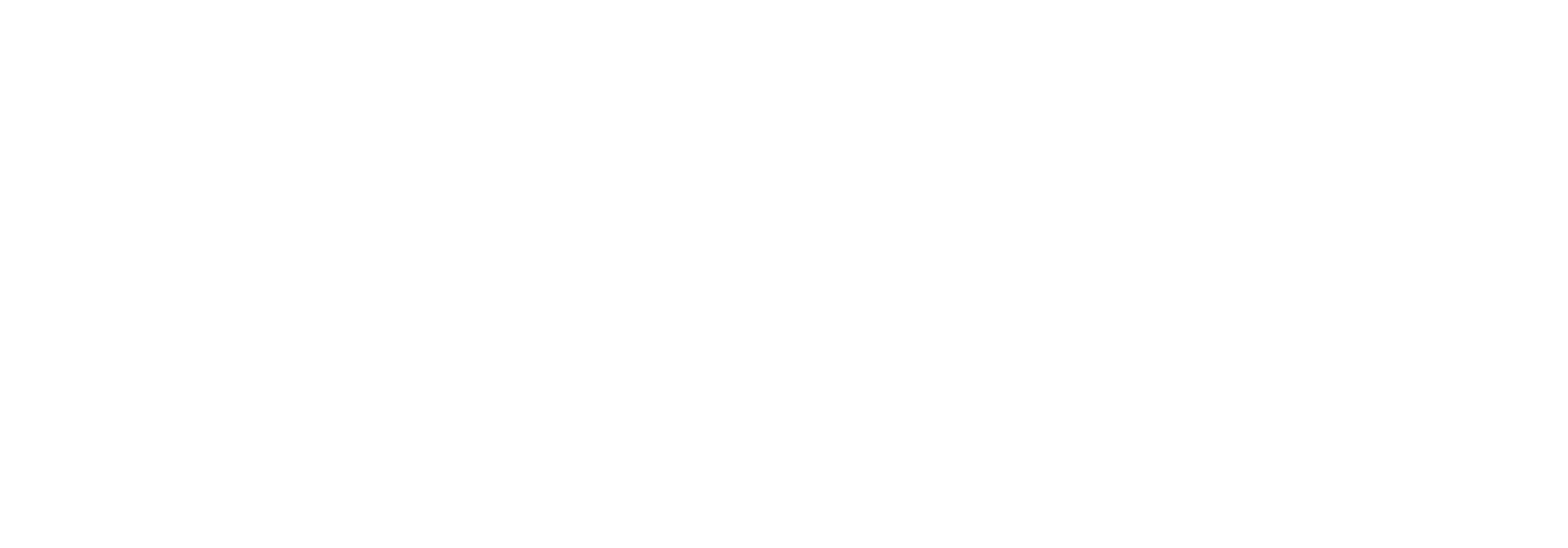 Frederik Brügmann – Software Solution